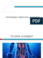 Semiologia Sistemului Urogenital 1