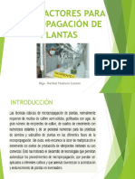 BIORREACORES-PROPAGACION-PLANTAS.pdf