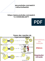 Dermatite de contato: causas, mecanismos e diagnóstico