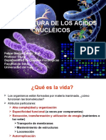 1.Estructura de Los Acidos Nucleicos 1.2012