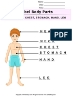 Answer Label Body Parts