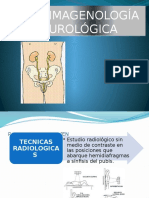 4 Imagenologia Urologica.