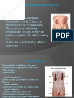 10 Dolor de Origen Urologico