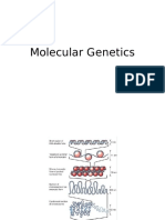 Molecular Genetics