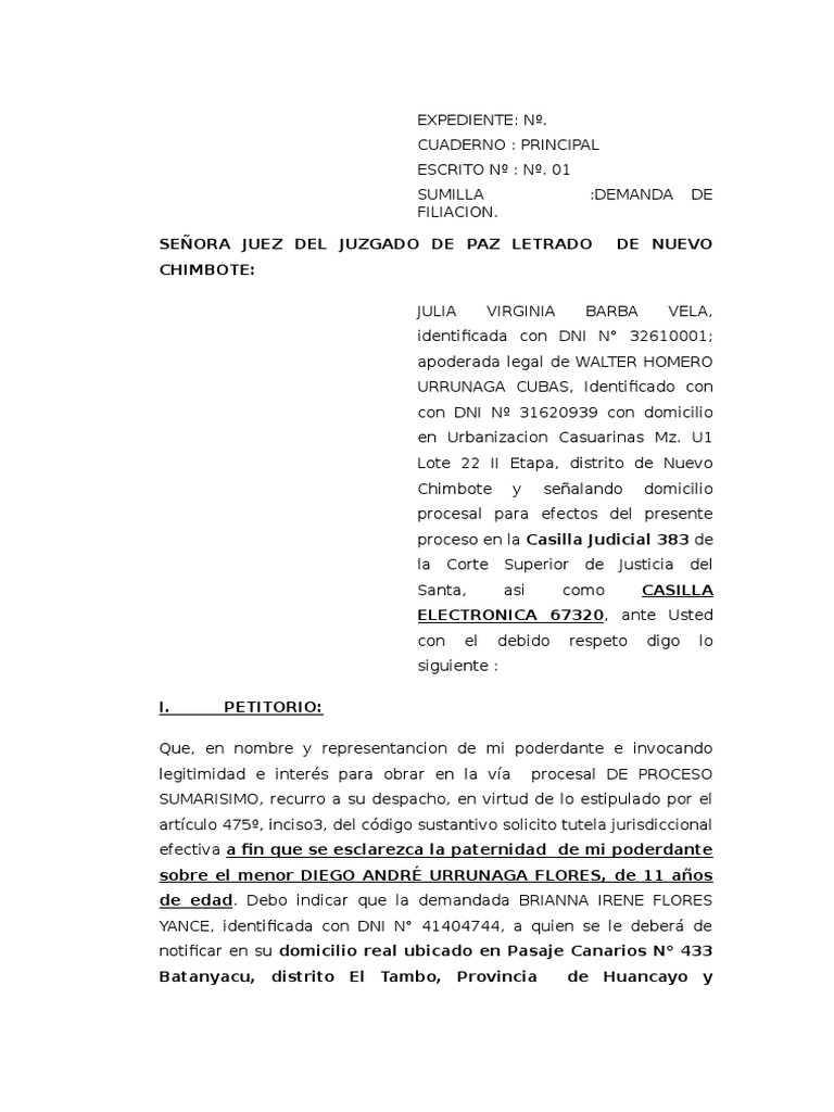 Demanda de Filiacion Extramatrimonial - Julia Barba | PDF ...