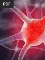 Download Contoh Proposal Klinik Fisioterapi by ryanitammi SN340606430 doc pdf