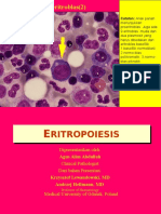 Eryhtropoiesis PP (Dr. Agus)