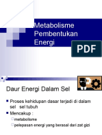 Metabolisme Pembentukan Energi