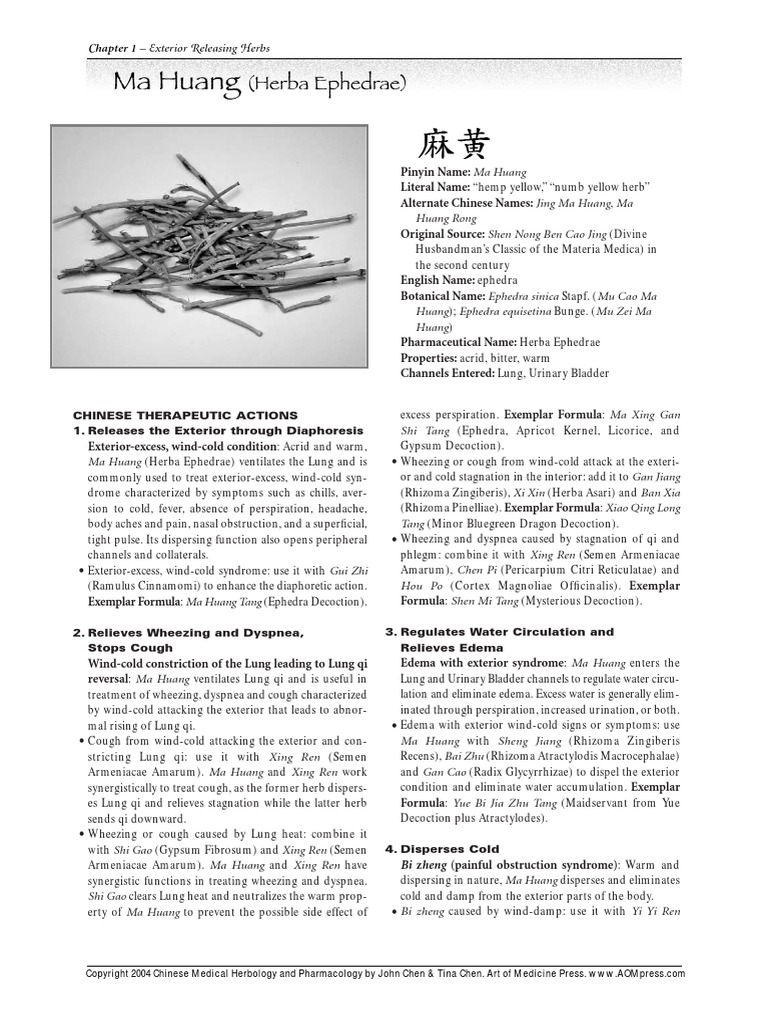 Ma Huang Pharmacology Medicine