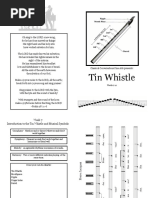 Tin Whistle: Weeks 7-12