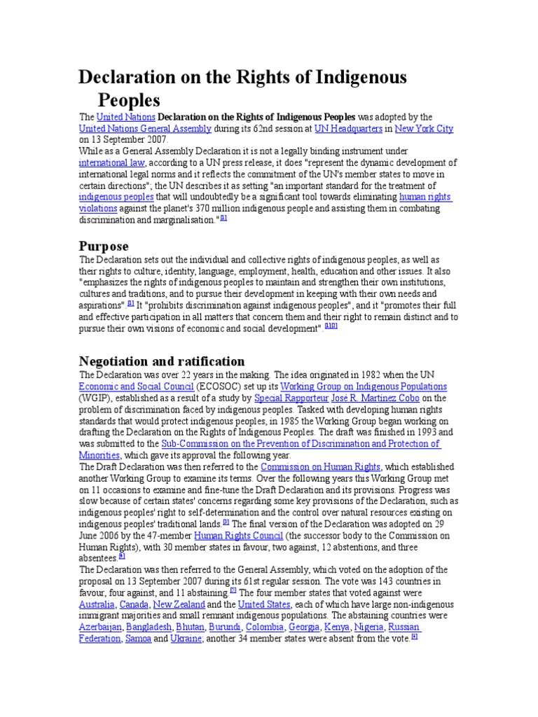 UN Declaration on Indigenous Rights | PDF | United Nations ...