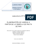 Elaboración de Harina a Partir de Las Semillas de Fruta de Pan- Informe