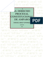 El Derecho Procesal Constitucional de Amparo Samuel Abad Yupanqui PDF