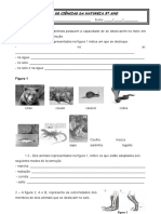 Ficha de Ciencias Da Natureza 5 Ano - LOCOMOÇÃO DOS ANIMAIS