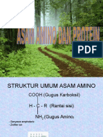 31617895-Protein.ppt