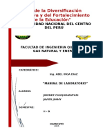 308937432-Manual-de-Laboratorio-Quimico.docx