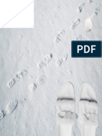 Footprints in The Snow