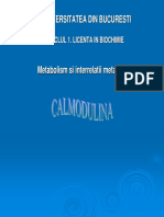 Curs 04a Calmodulina