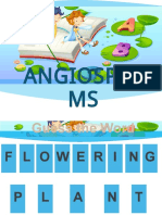 Angiosperms