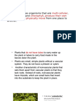 Multi-Cellular Cell Walls Chlorophyll Produce Their Own Food Don't Physically Move