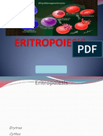 Eritropoeisis 3