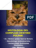 Histologia Del Organo Dentinopulpar