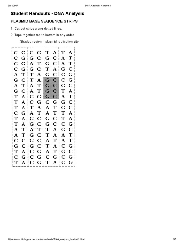 DNA Analysis Handout 1 | PDF