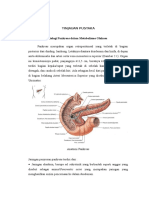 TINJAUAN PUSTAKA Ulkus