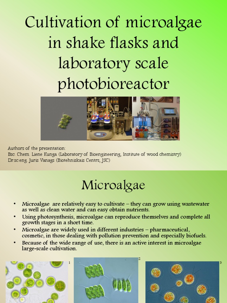 Lab Algae Simplified | PDF | Chemistry | Energy And Resource