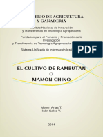 Cultivo de Rambutan