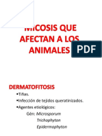 micosis  en animales.pdf