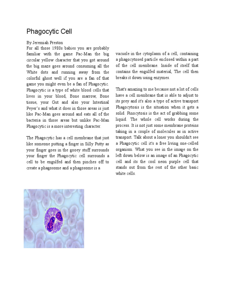 Jeremiahphagocyticcell | PDF