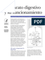 Lectura 4 aparato_digestivo.pdf