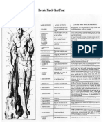Hercules Muscle Chart Front.pdf