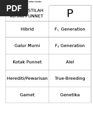 Flash Card