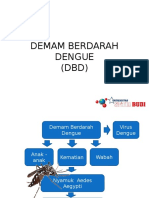 Demam Berdarah Dengue (DBD)