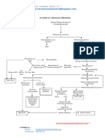 Pathway Demam Thypoid PDF