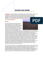 Grasslands: Savannas and Temperate Grasslands Compared