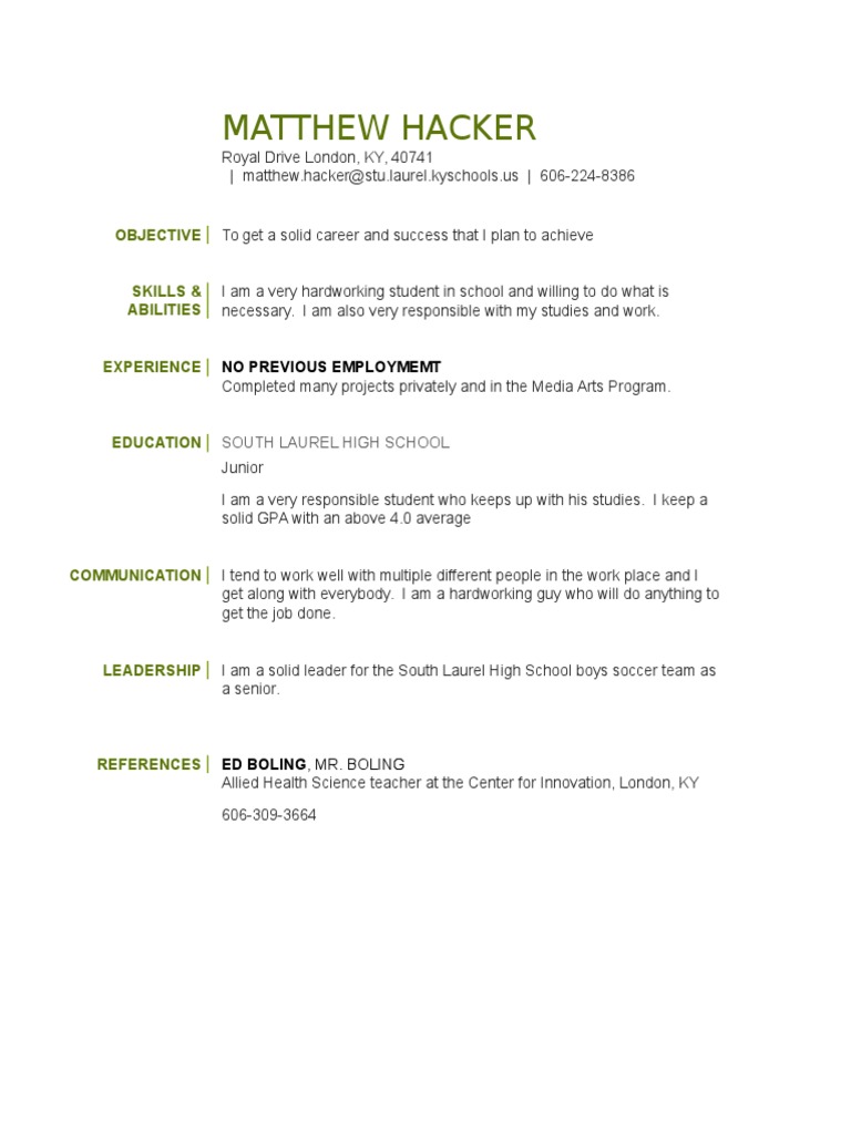 Cfi Resume Template 1 PDF - 1714828873