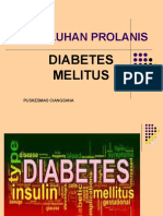 Penyuluhan Prolanis Diabetes DR - Nency Ridho