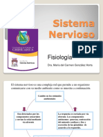 Funciones Del Sistema Nervioso