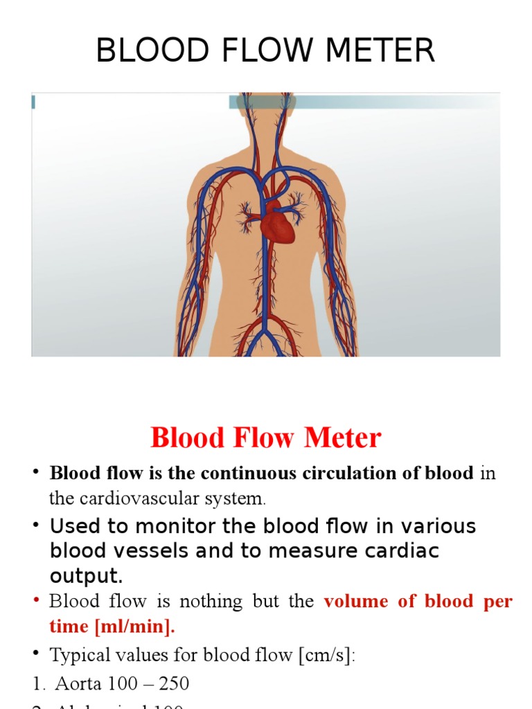 Blood Flow Meter PDF Breathing Flow Measurement