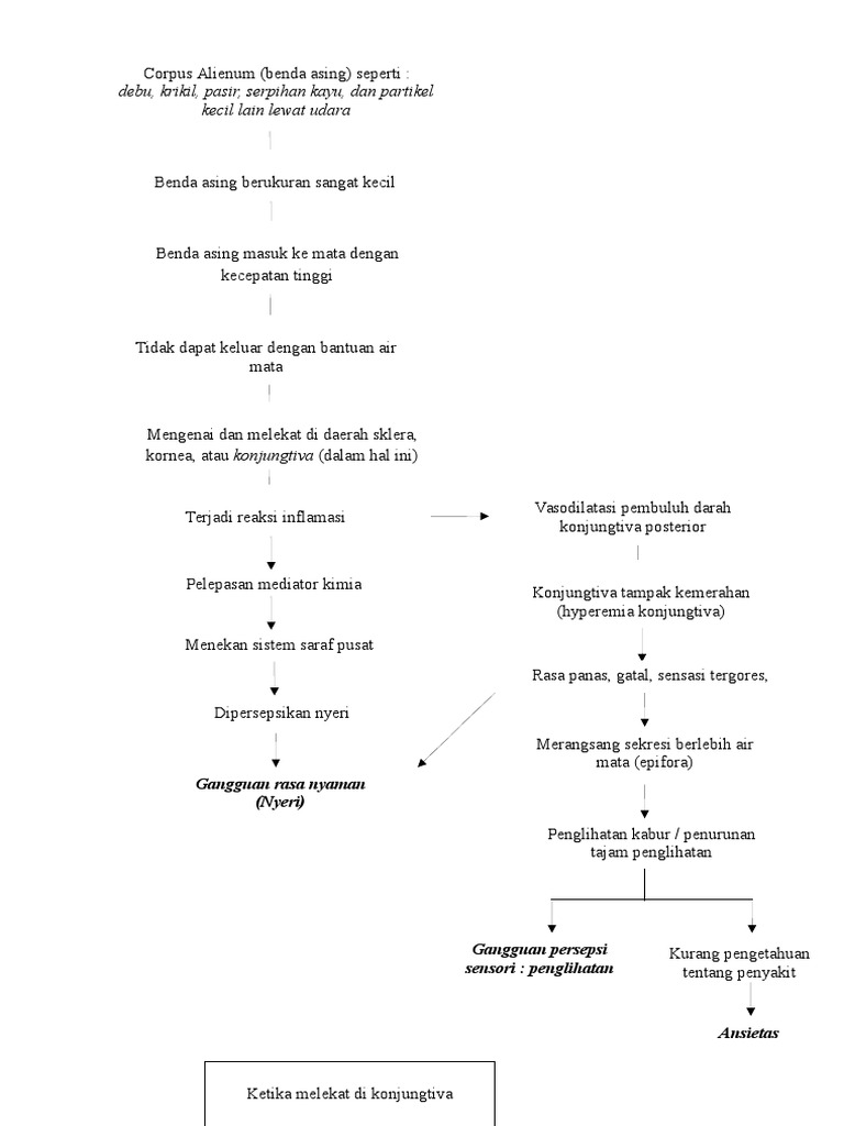 Pathway Corpus Alienum Mata | PDF