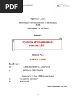 Systeme D'information Commerci - Hamri Habiba - 113 PDF