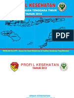 19 Profil Kes - Prov.NTT 2012 PDF