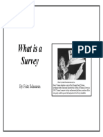 What is a survey.pdf