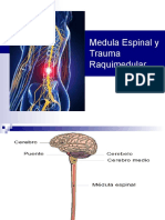 Medula Espinal y Trauma Raquimedular