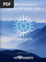 Quem Sou Eu e o Que Vim Fazer Aqui__[O Chamado Da Alma Instituto Luz Diamante]