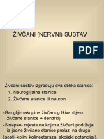 ŽIVČANI