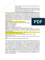 Polimerizarea Actinei Concomitent Cu Hidroliza ATP Ar Putea Avea Loc În Celule Nemusculare Şi Ar Putea Furniza Mecanochimia Pentru Mişcare